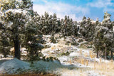 Woodland Scenics Soft Flake Snow(TM) Shaker