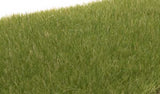 Woodland Scenics Static Grass - Field System - 1/8" 4mm Fibers