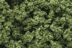 Woodland Scenics Clump Foliage(TM) - 3 Quarts 2.8L