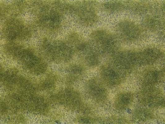 Noch Gmbh & Co Ground Cover Foliage Pad