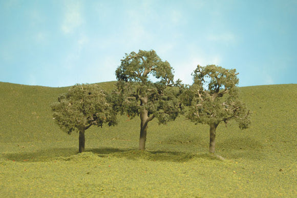 Walnut Trees - SceneScapes(TM)